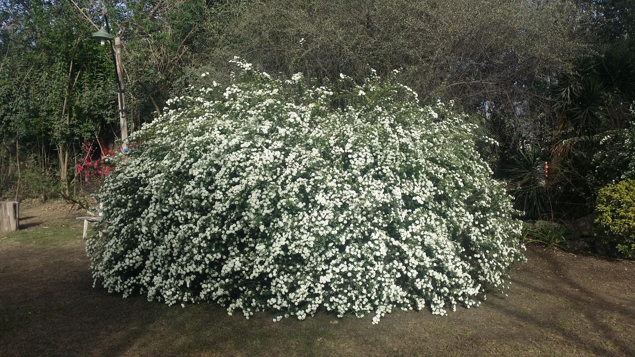 Quinta Valvanera *